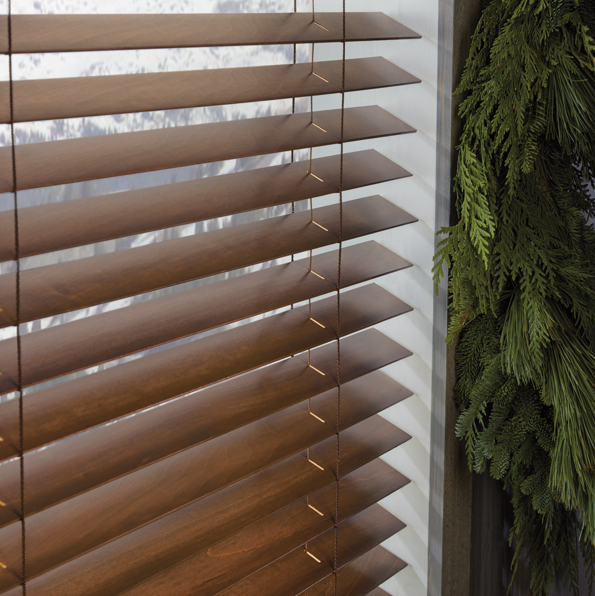 Wooden blinds with a green plant on the right side