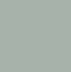 Color Card for Benjamin Moore Raindance 1572