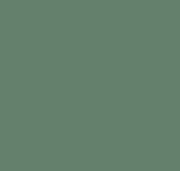 Muted deep green color swatch