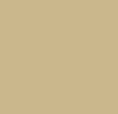 Warm ochre color swatch