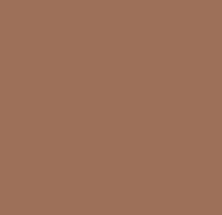 Warm terracotta color swatch