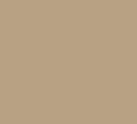 Color Card for Benjamin Moore Sherwood Tan 1054