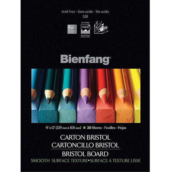 Bienfang Bristol Plate 9x12 - Smooth - Guiry's