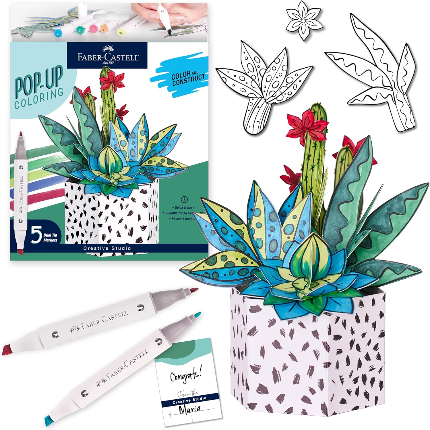 FC Pop Up Coloring Succulents - Guiry's