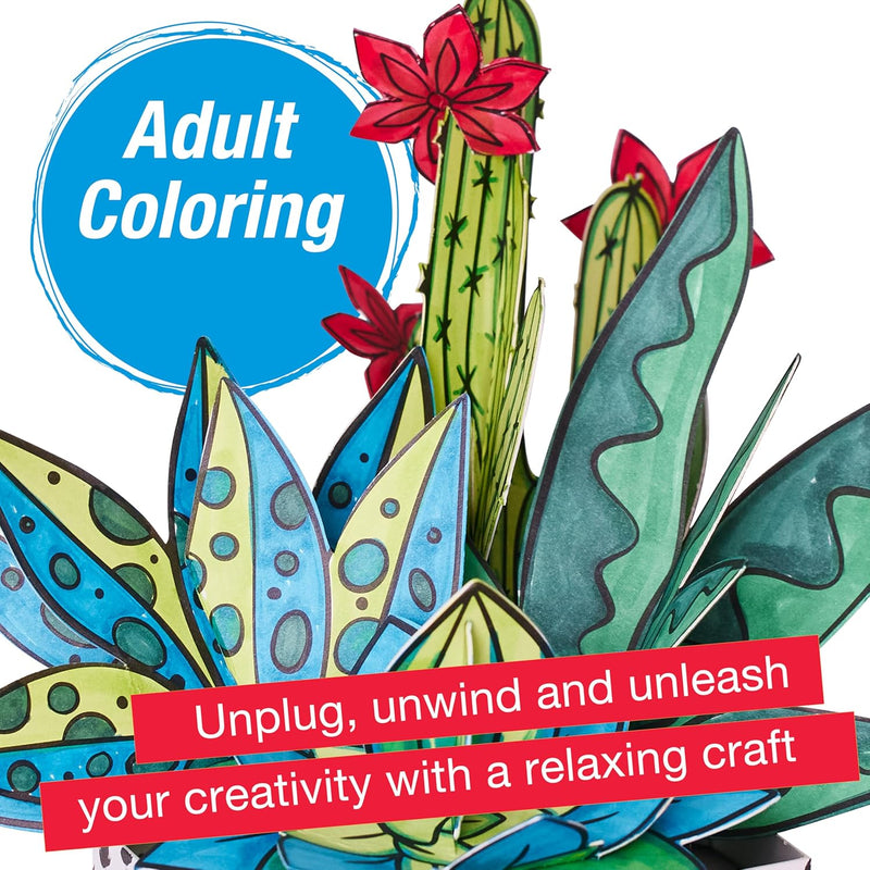 FC Pop Up Coloring Succulents - Guiry's
