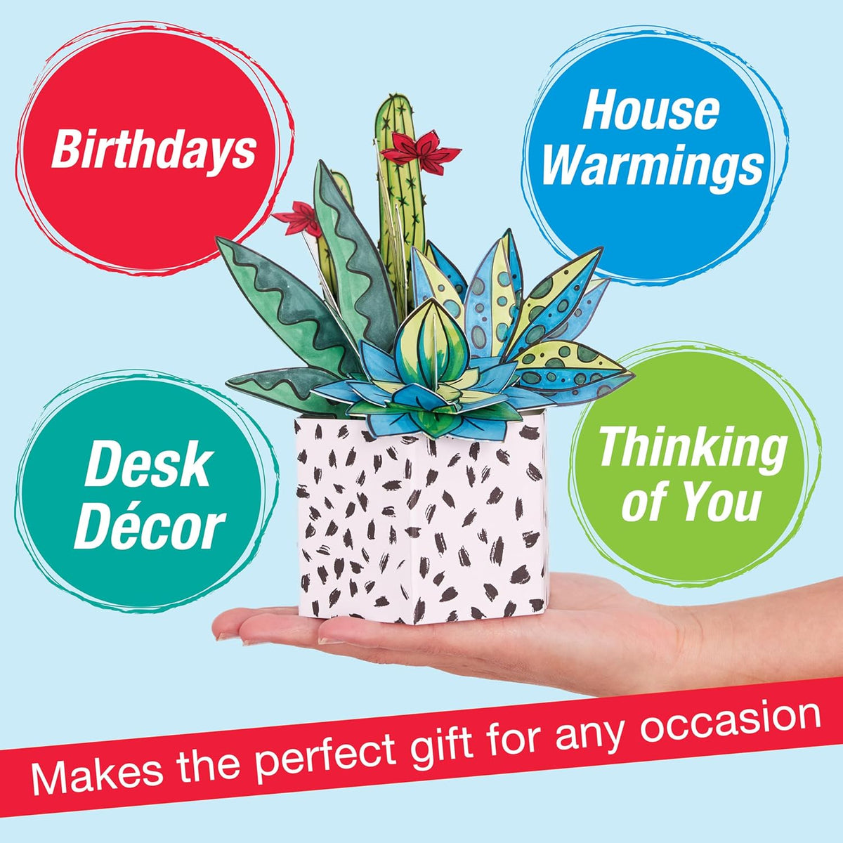 FC Pop Up Coloring Succulents - Guiry's