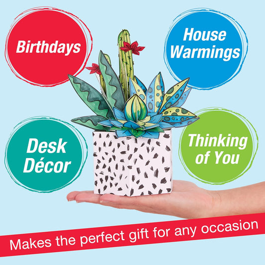 FC Pop Up Coloring Succulents - Guiry's