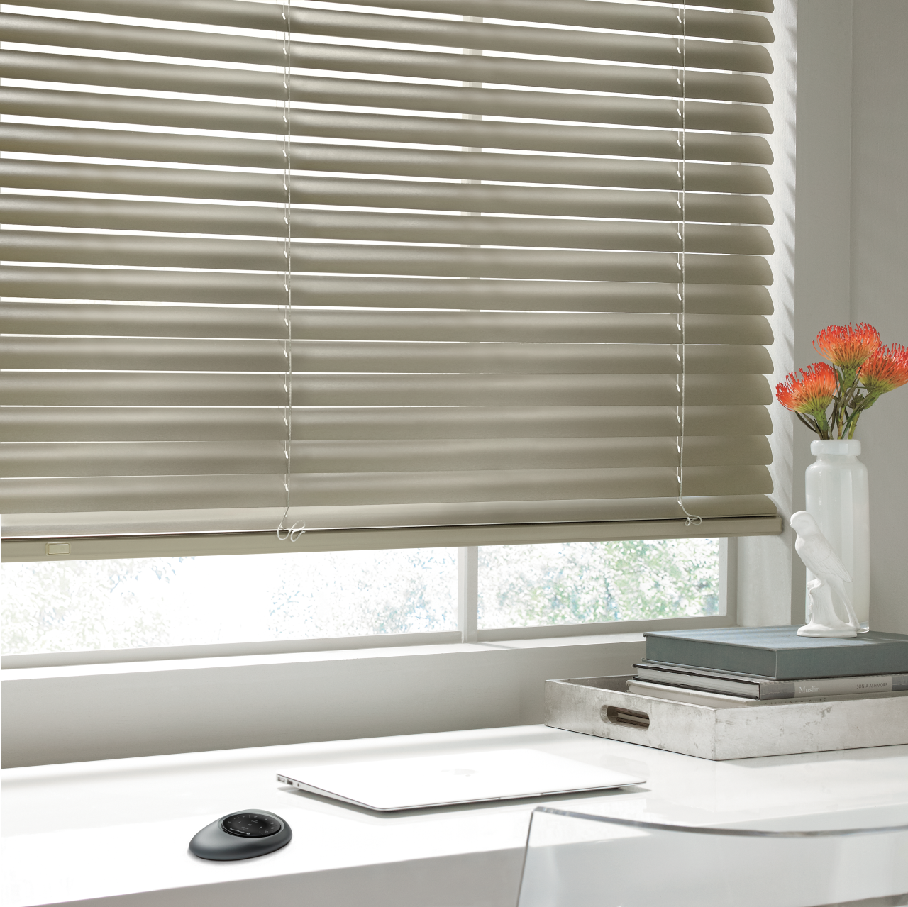 Hunter Douglas Modern Precious Metal Blinds