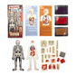 Kikerland Anatomy Stamp Set - Guiry's