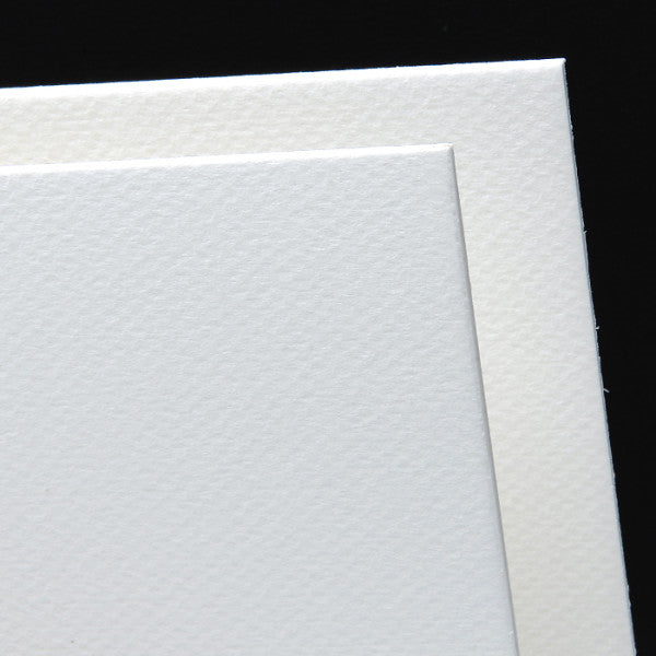 Canson Mi-Teintes Art & Framing Board, 16" x 20", White